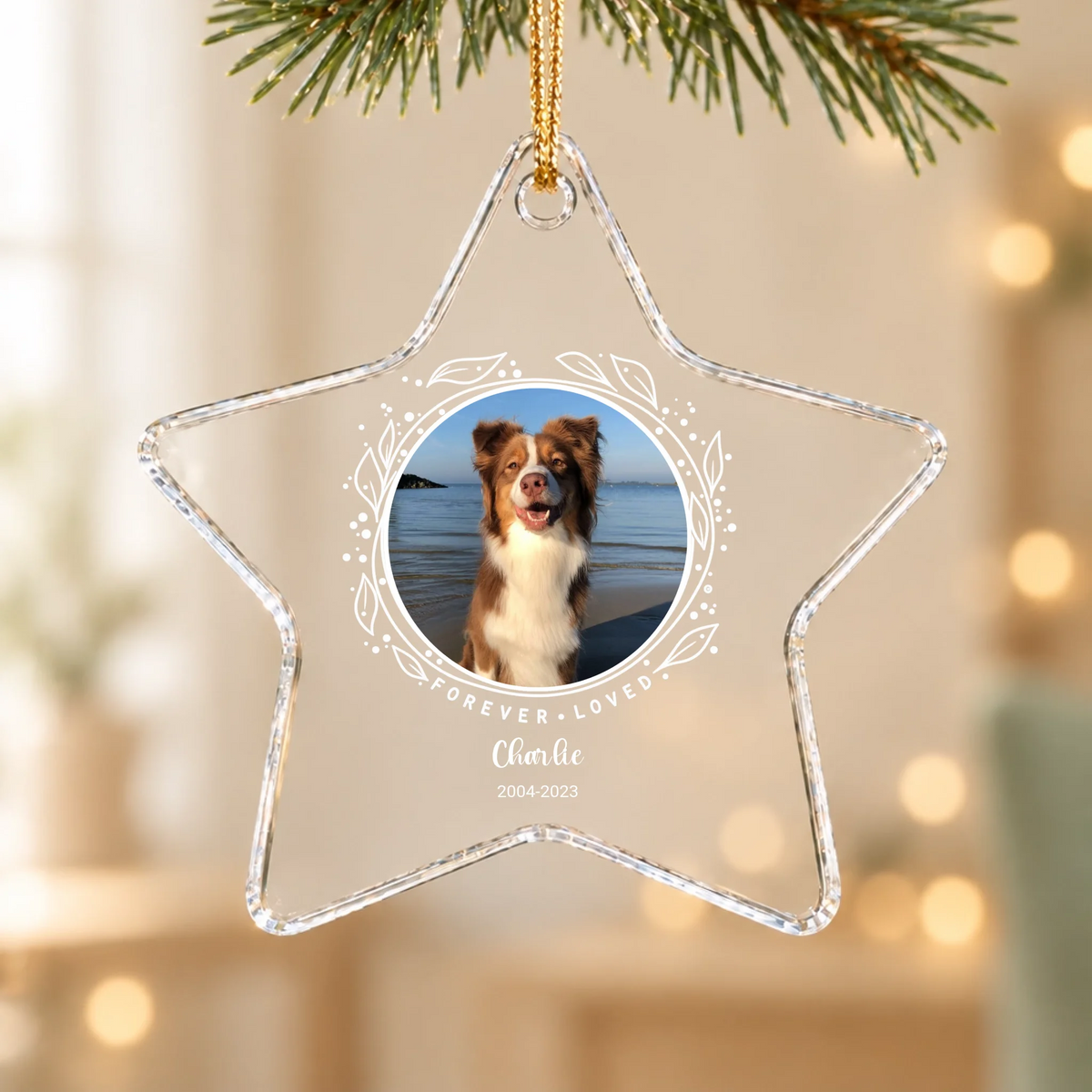 Star Glass Ornament SHOP Back