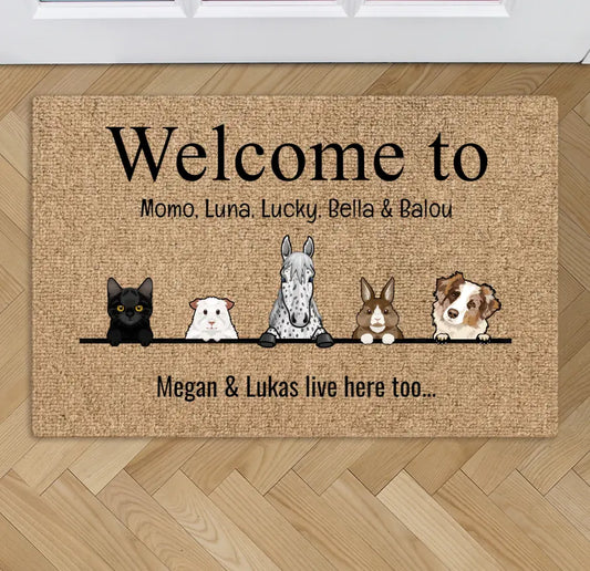 All my furry friends - Personalized Doormat