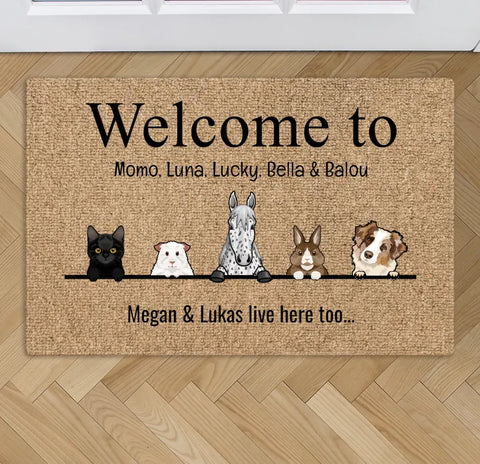 All my furry friends - Personalized Doormat - Featured Image