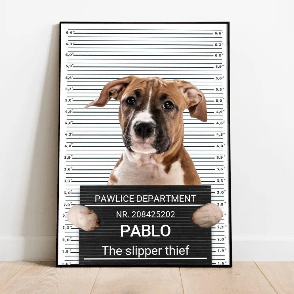 Mugshot - Personalized poster