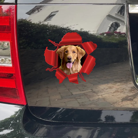 Peeking photo – Personalized Car Sticker - Featured Image
