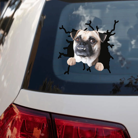 white car