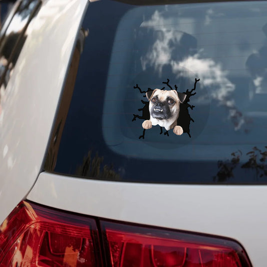 white car