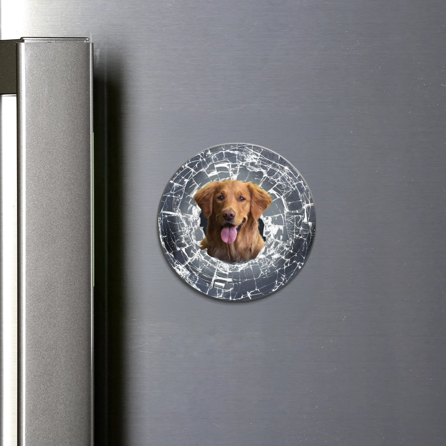 round flat Magnet SHOP (US)