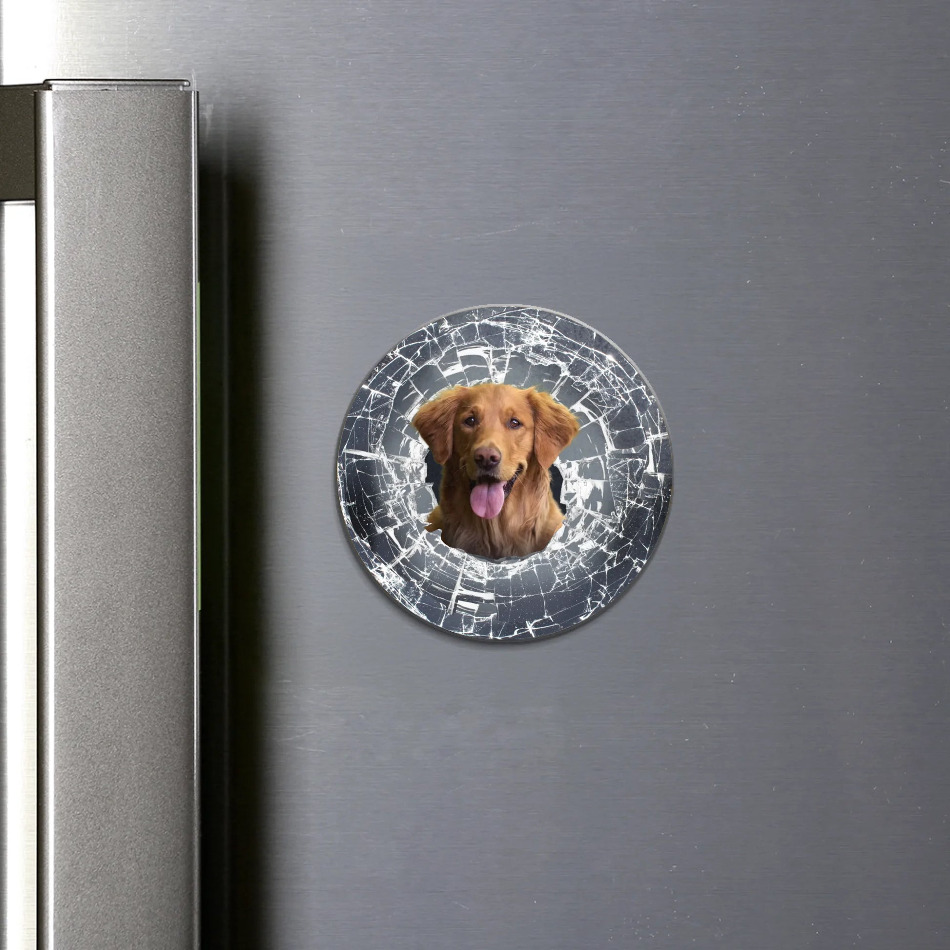 round flat Magnet SHOP (US)