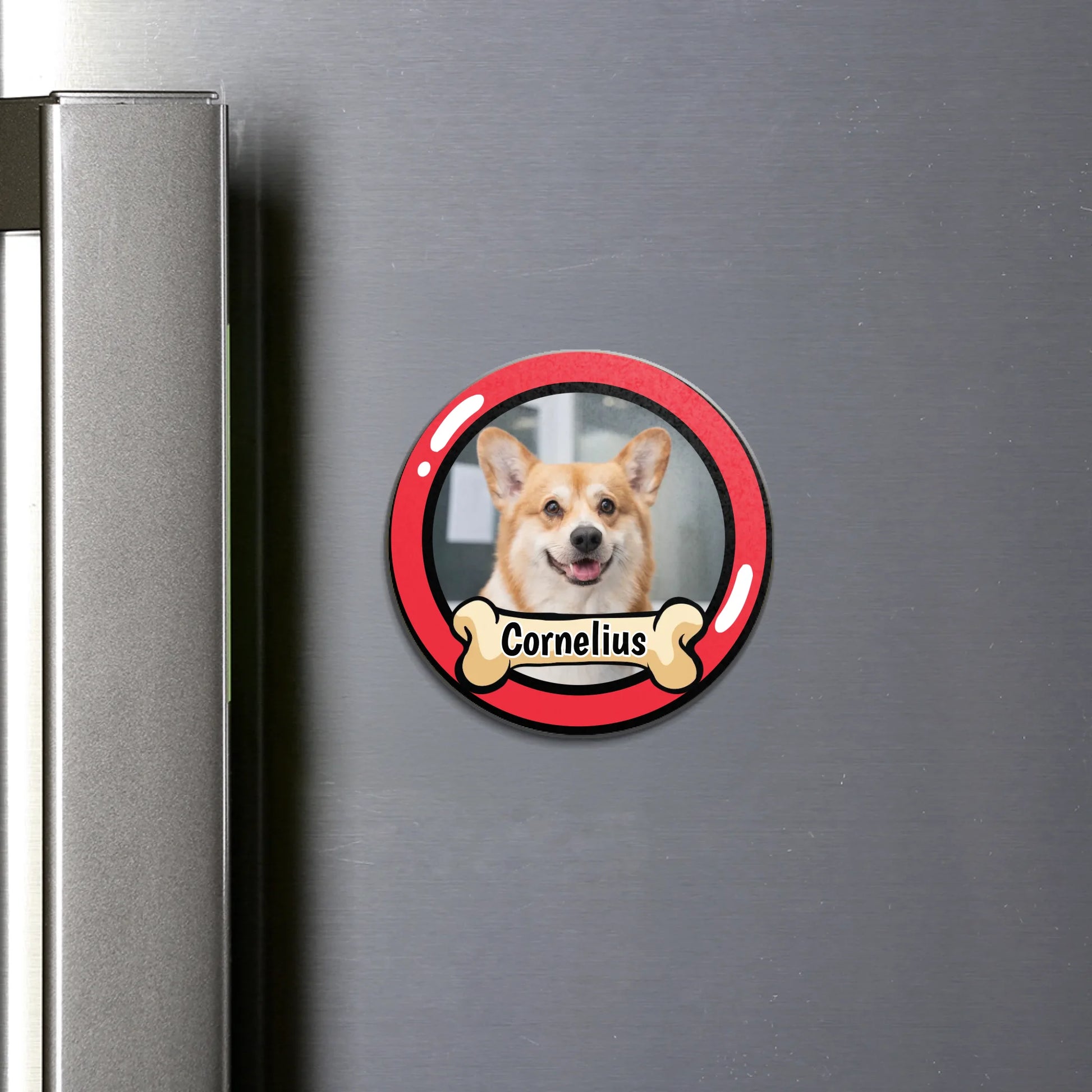 round flat Magnet SHOP (US)