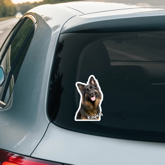 Car Sticker - SHOP NEW 2