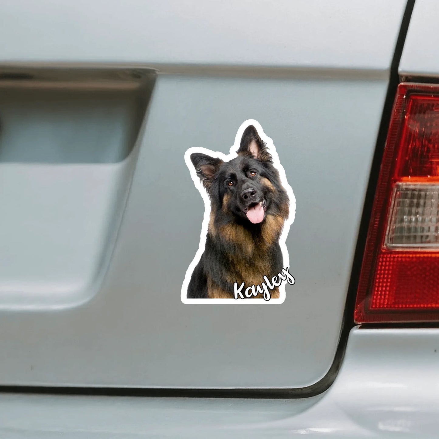 Car Sticker - SHOP NEW 1
