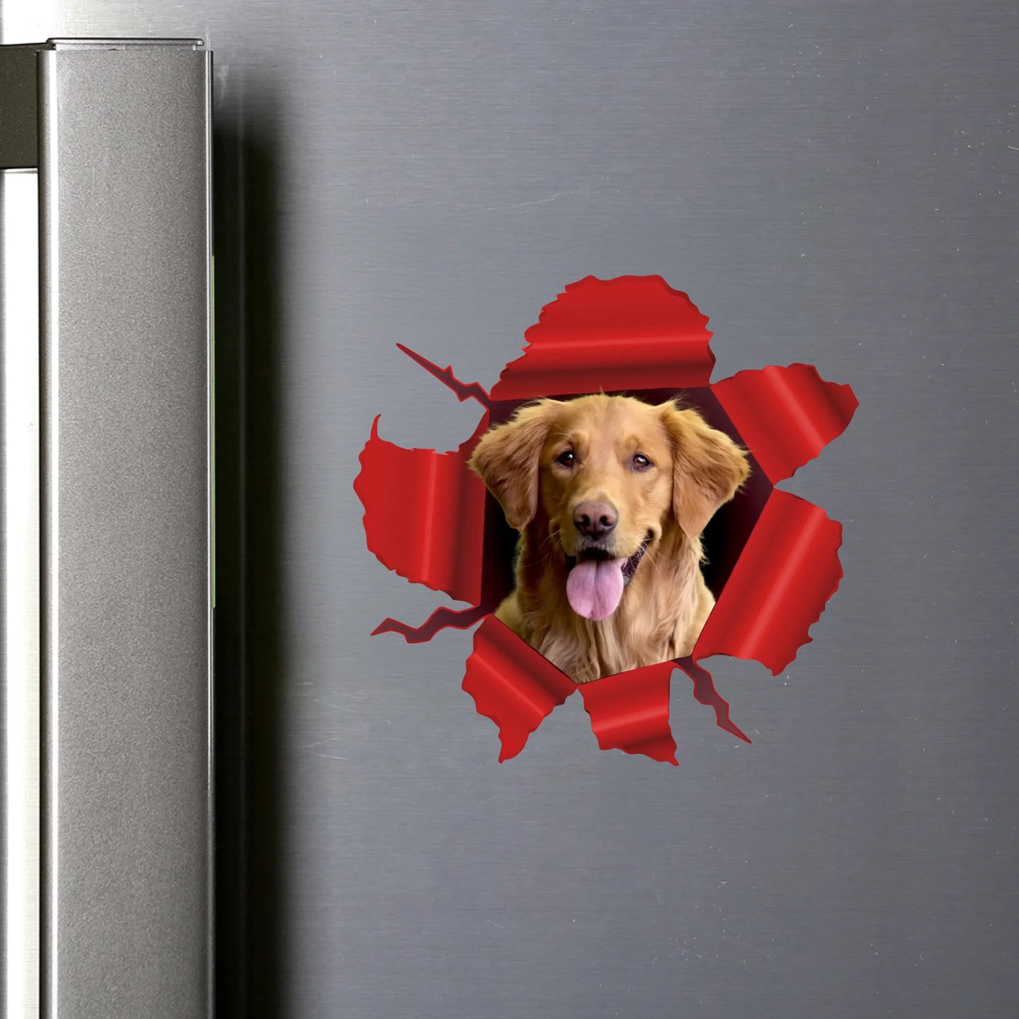 round flat Magnet SHOP (US)