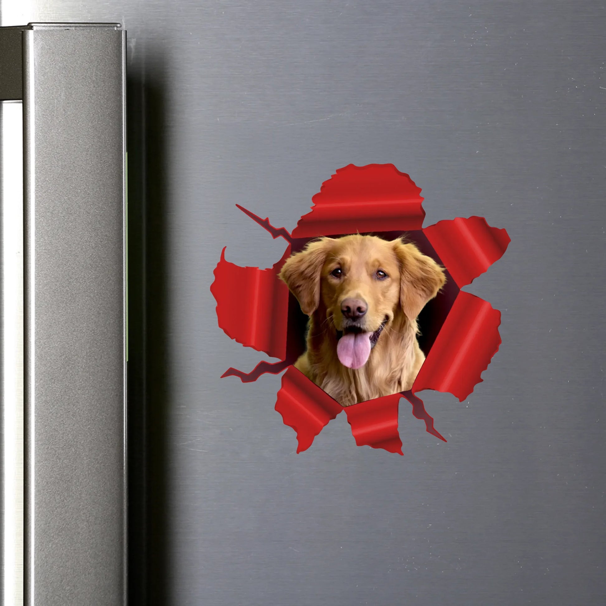 round flat Magnet SHOP (US)