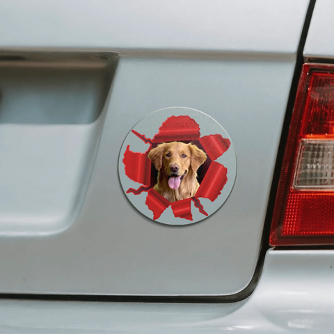 Peeking photo - Personalized Car Magnet - Featured Image