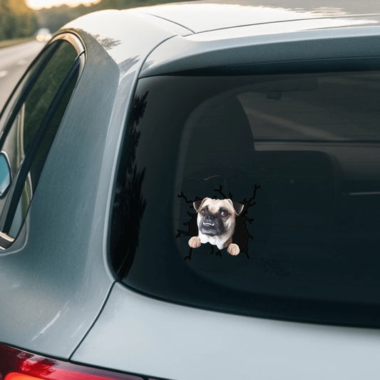 Car Sticker - SHOP NEW 2