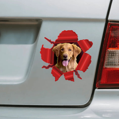 Peeking photo – Personalized Car Sticker - Featured Image