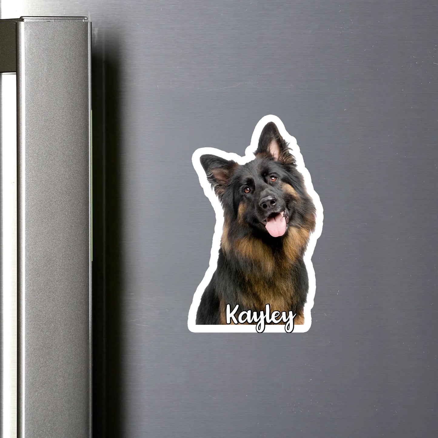 round flat Magnet SHOP (US)