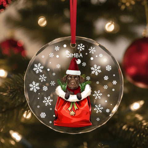 Christmas pet photo - Personalized Glass Ornament - Featured Image