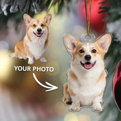 Your photo - Personalized Acrylic Ornament - Featured Image