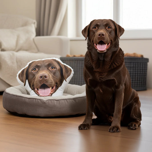 Your Photo Head - Personalized Shape Pillow