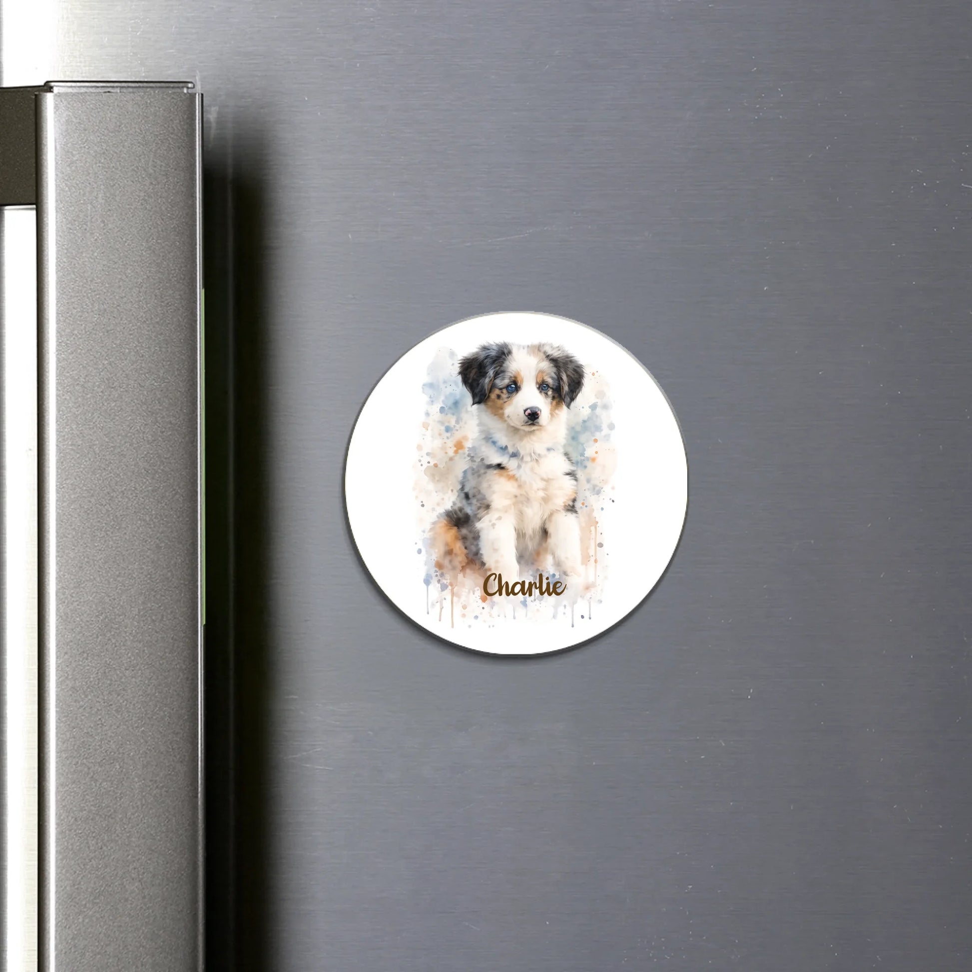 round flat Magnet SHOP (US)