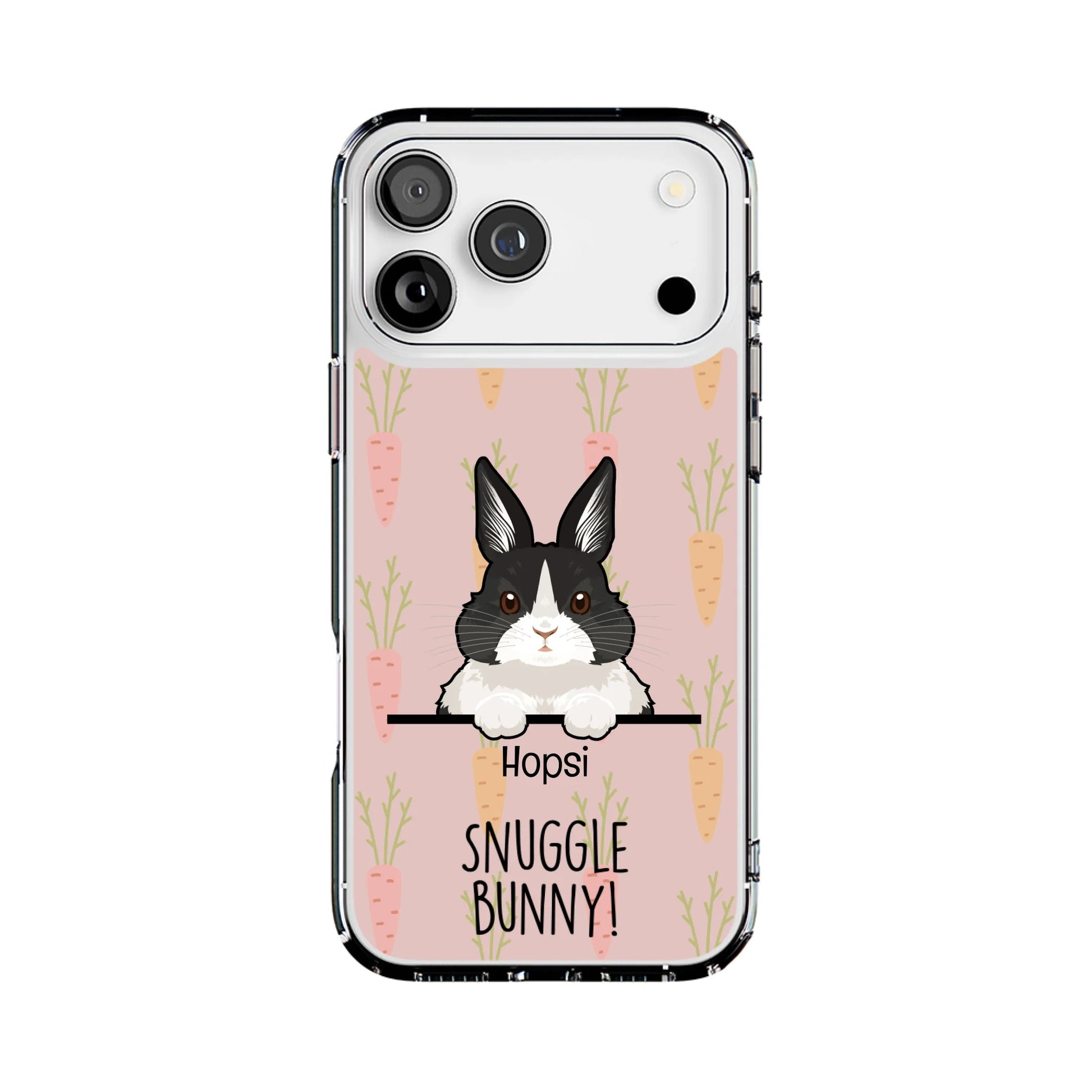 17PM-C_Mockup