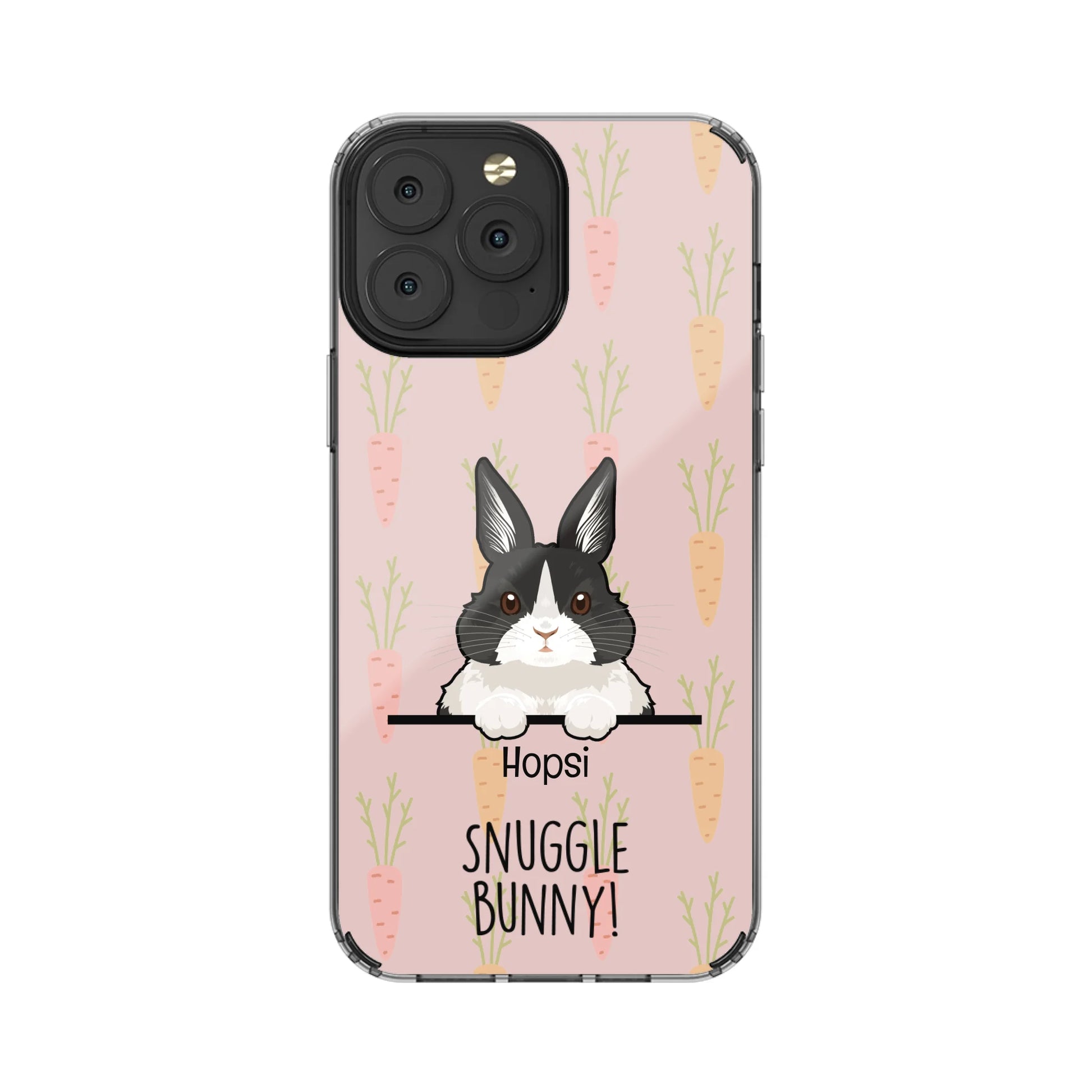 13PM-C_Mockup