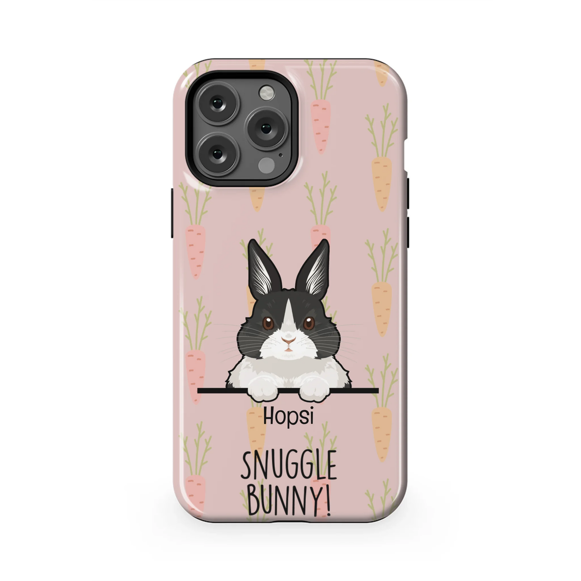 13PMT_Mockup