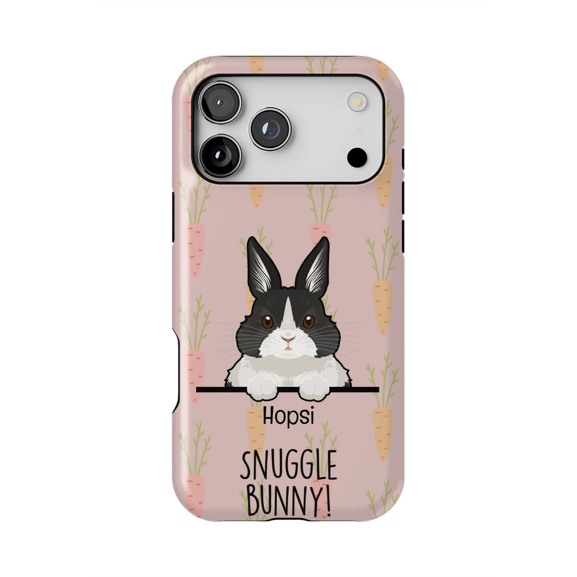 17PMT_Mockup