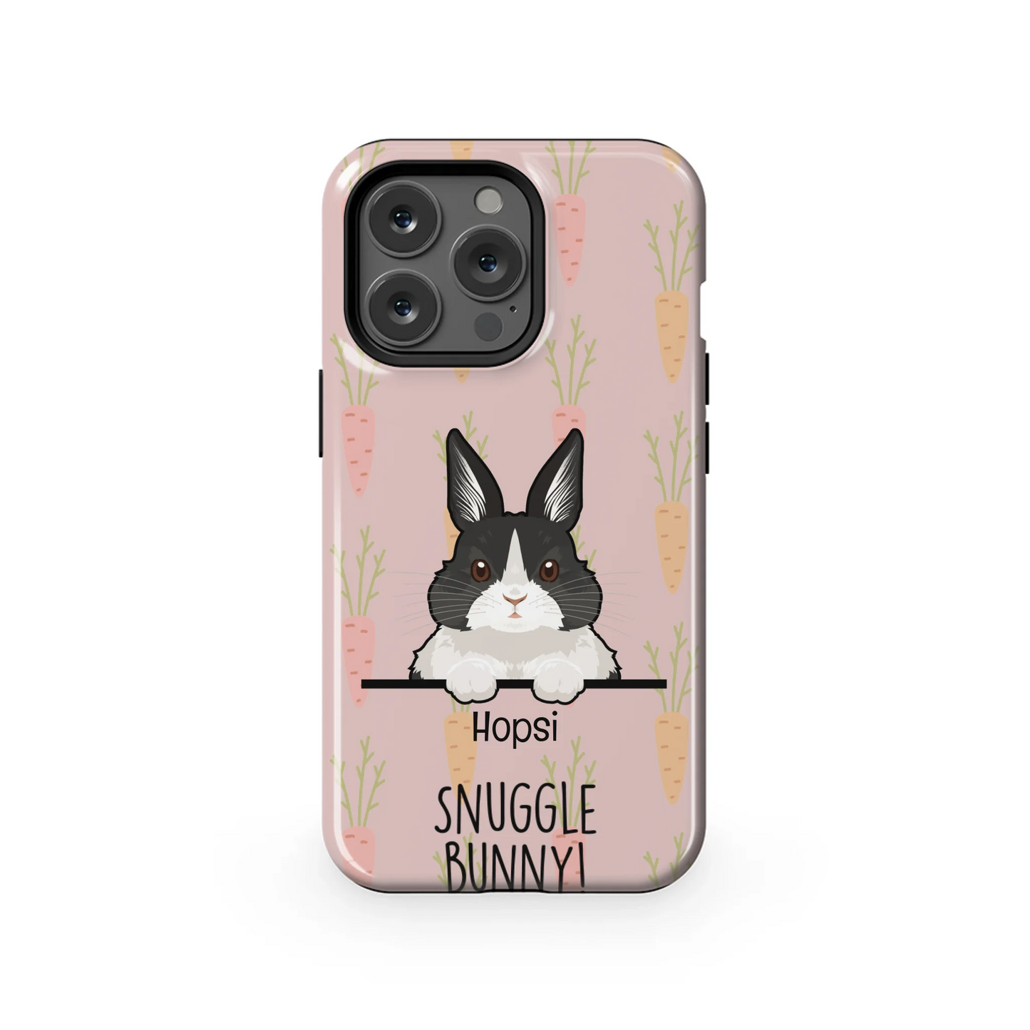 13PT_Mockup