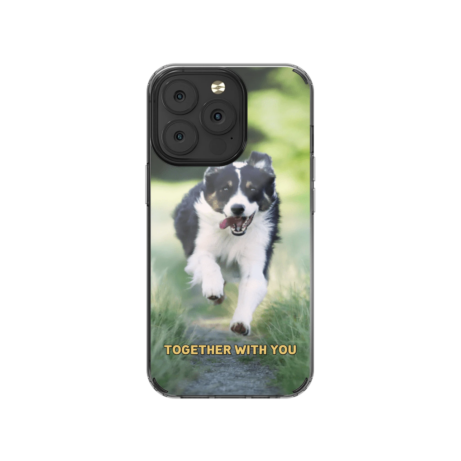 13P-C_Mockup
