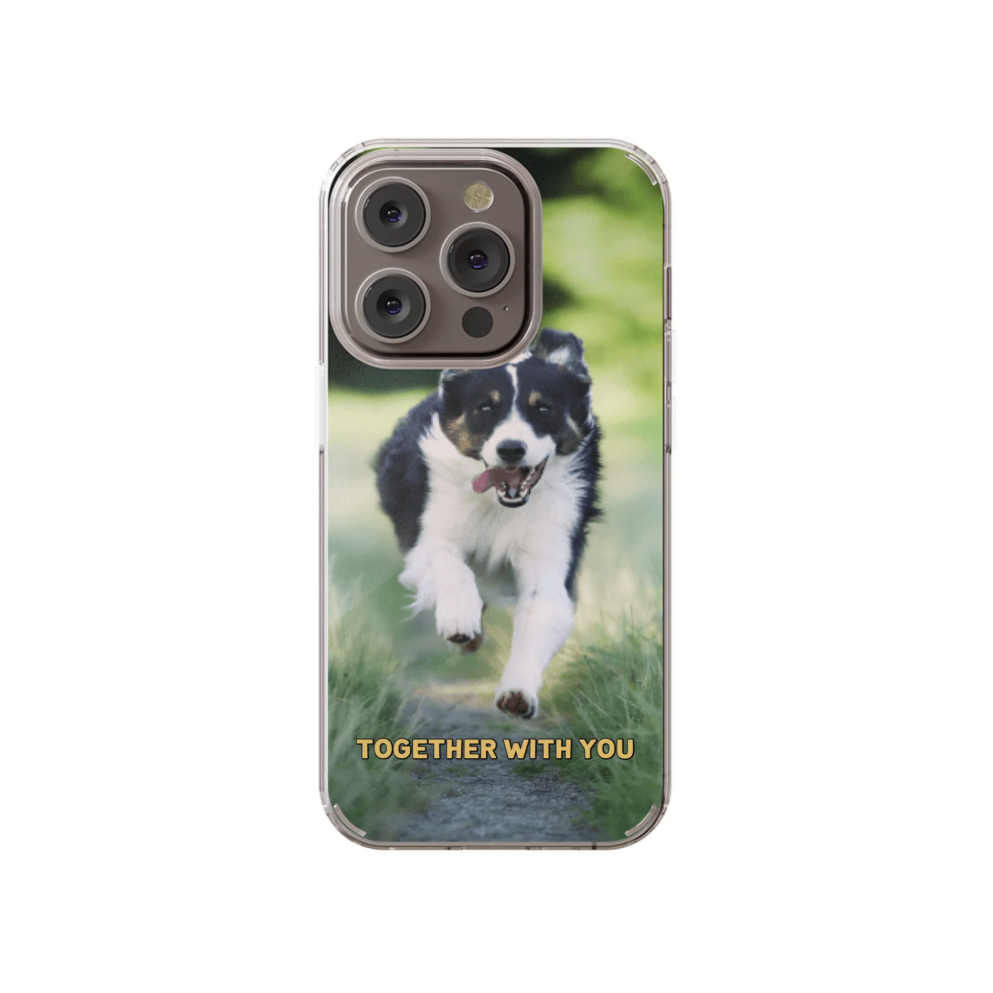14P-C_Mockup