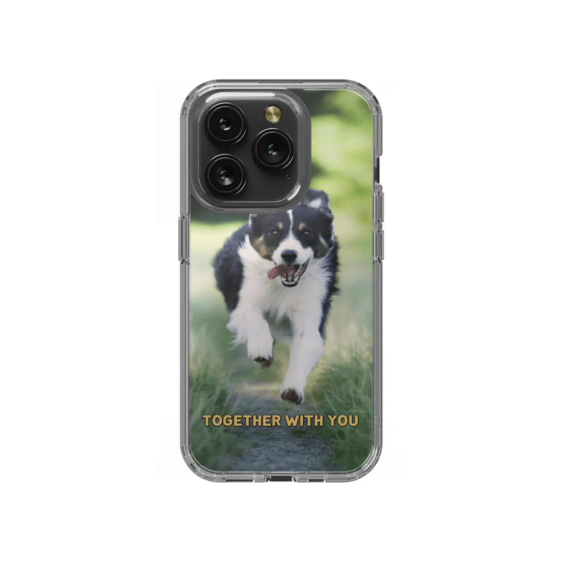 15P-C_Mockup