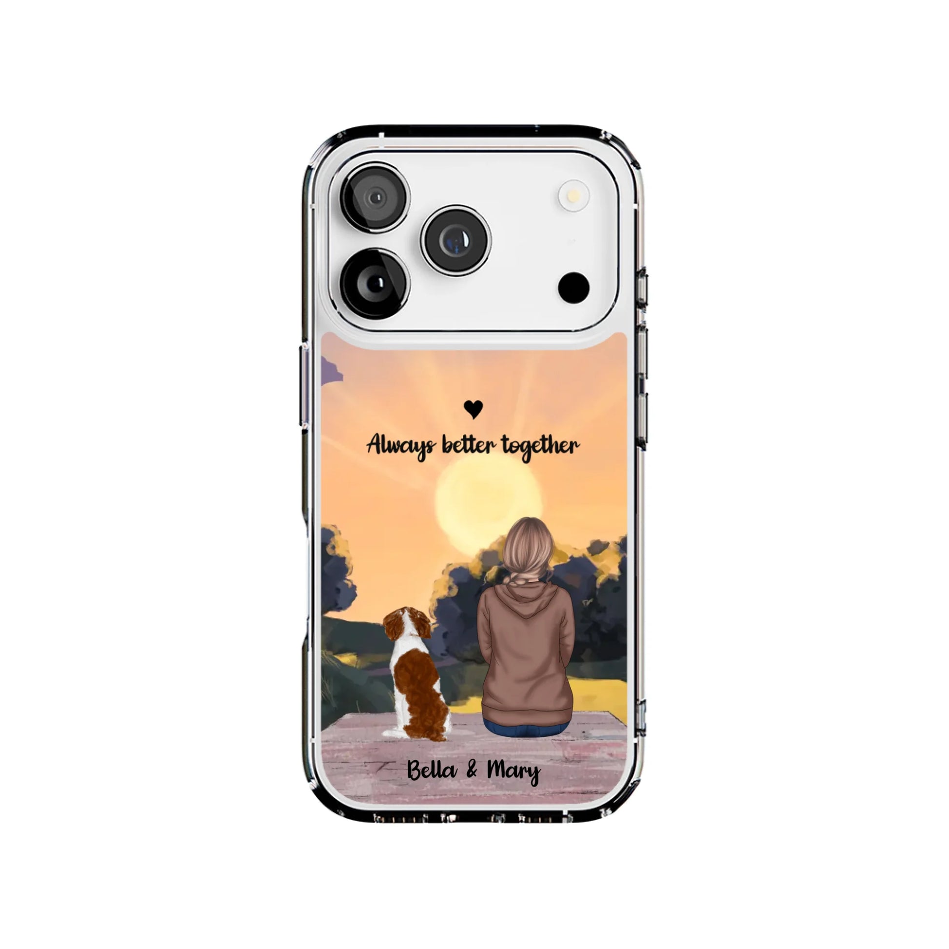 17P-C_Mockup