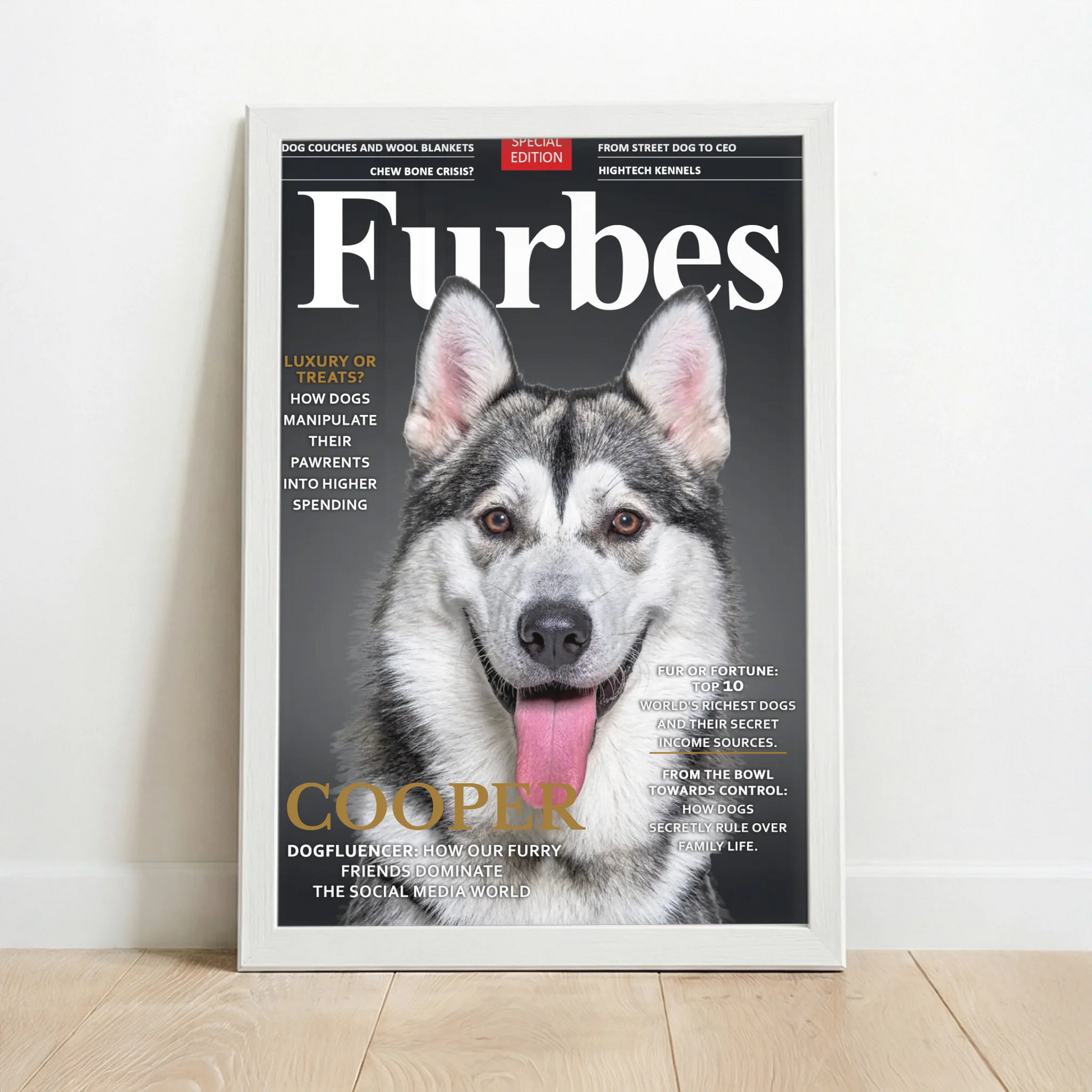 Framed Poster white copy