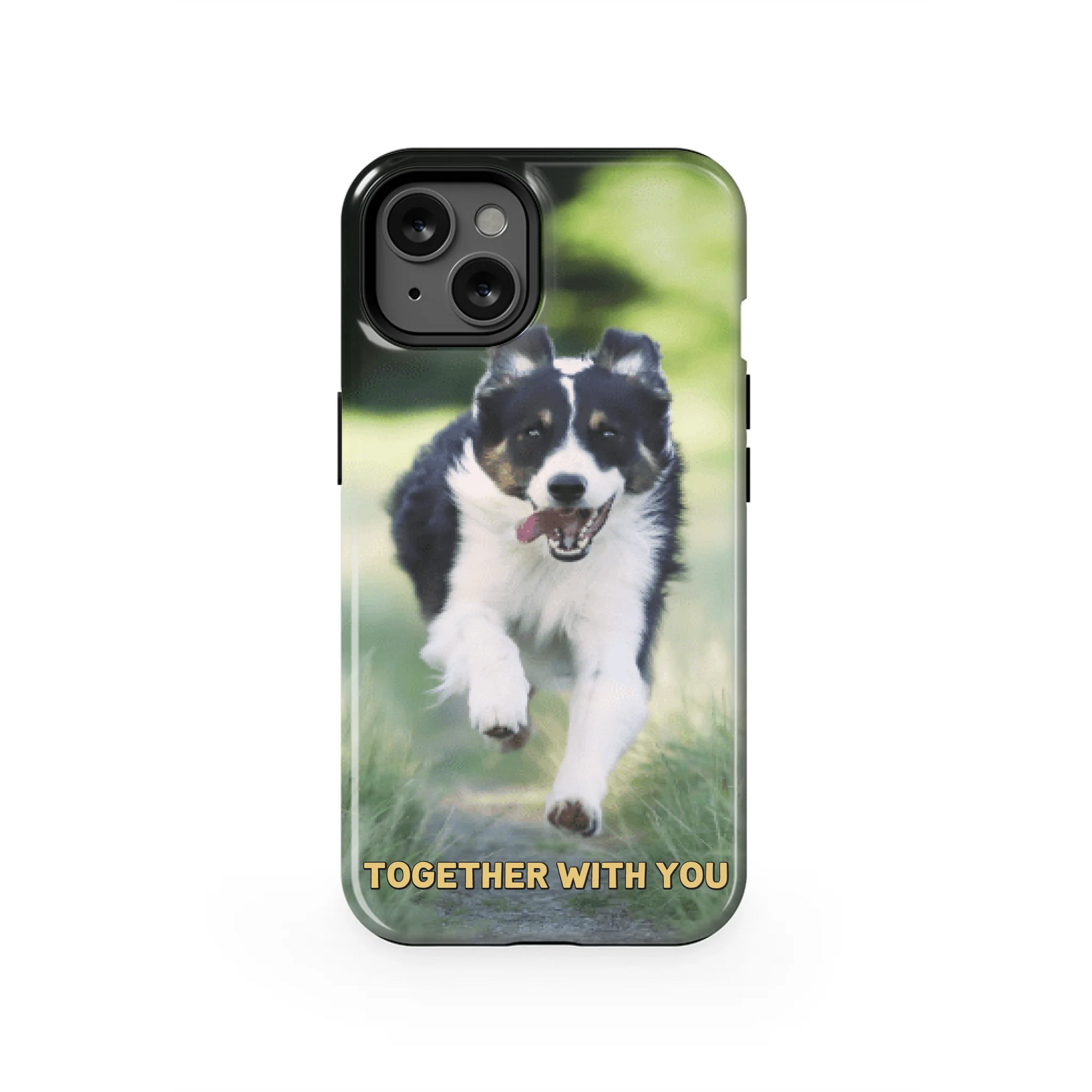 13T_Mockup