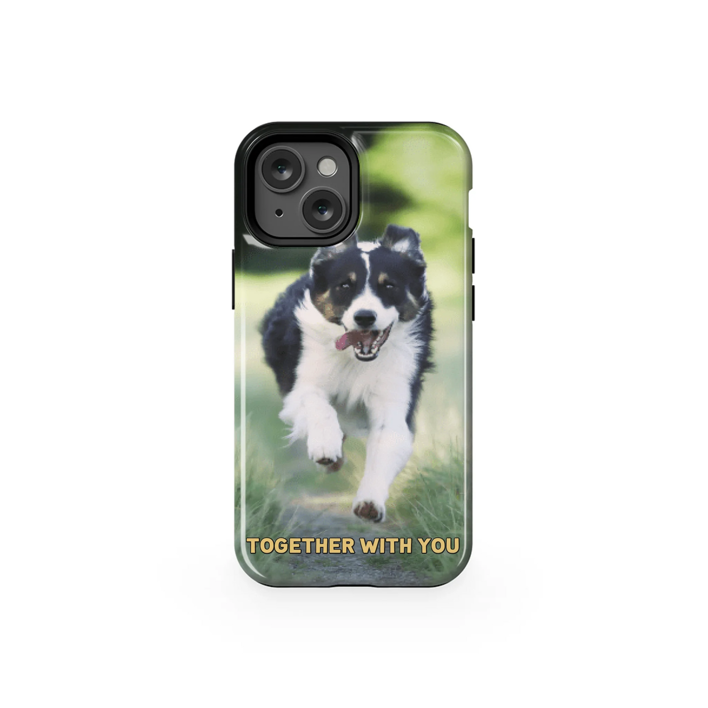 13MT_Mockup