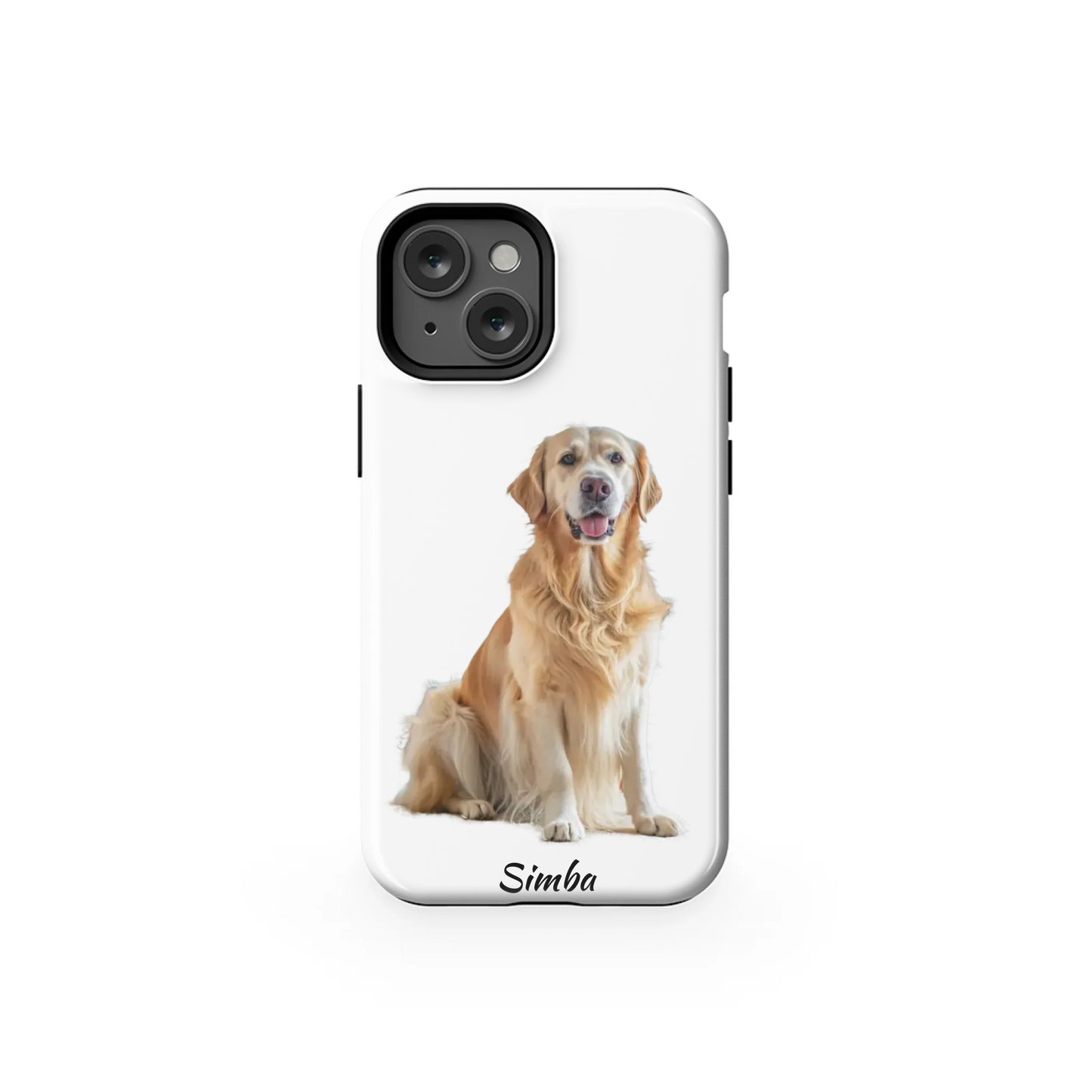 13MT_Mockup