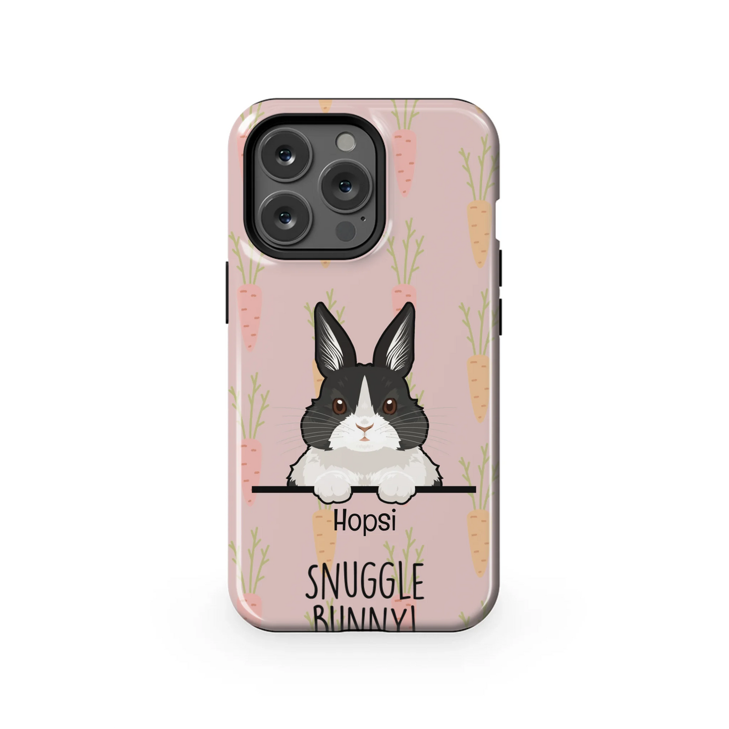 13PT_Mockup
