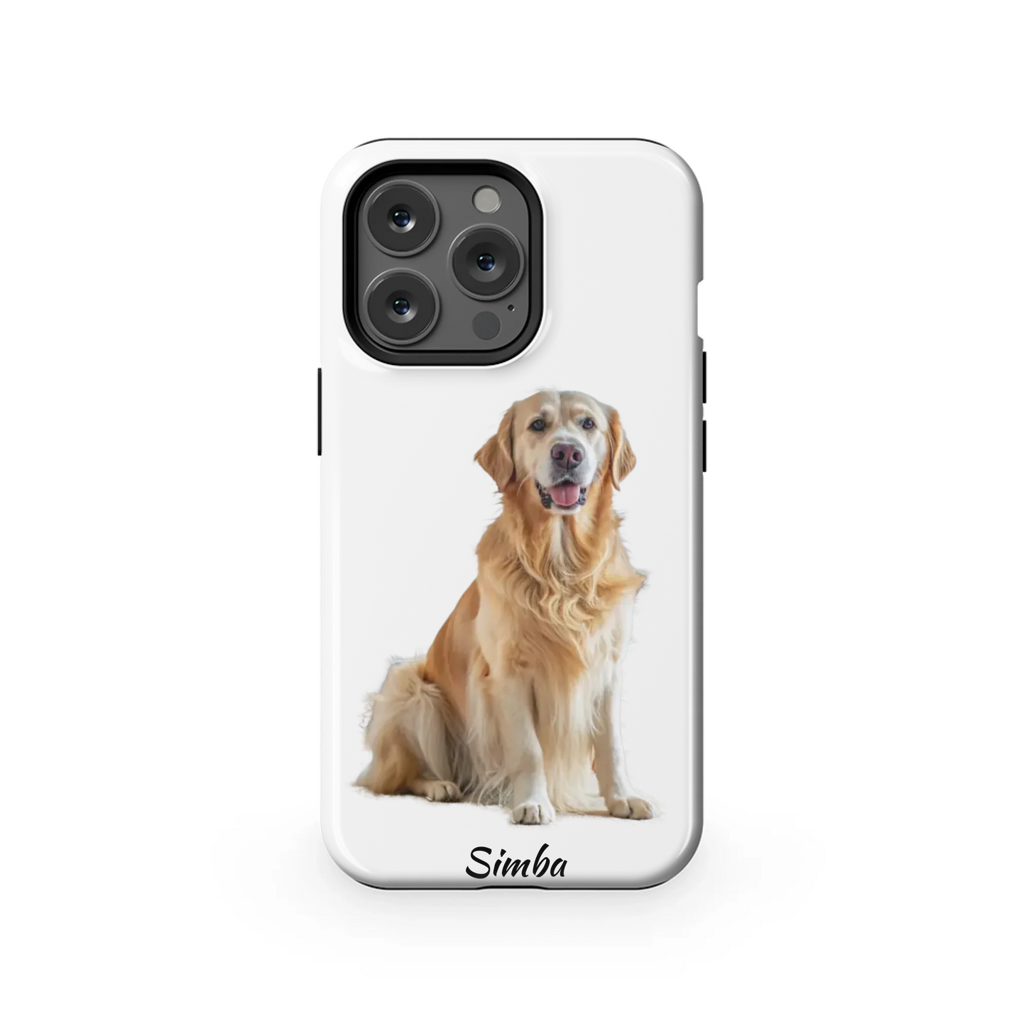 13PT_Mockup