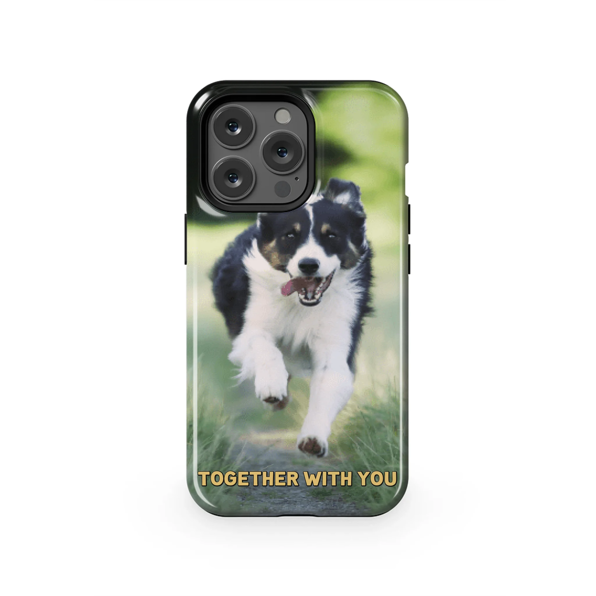 13PT_Mockup