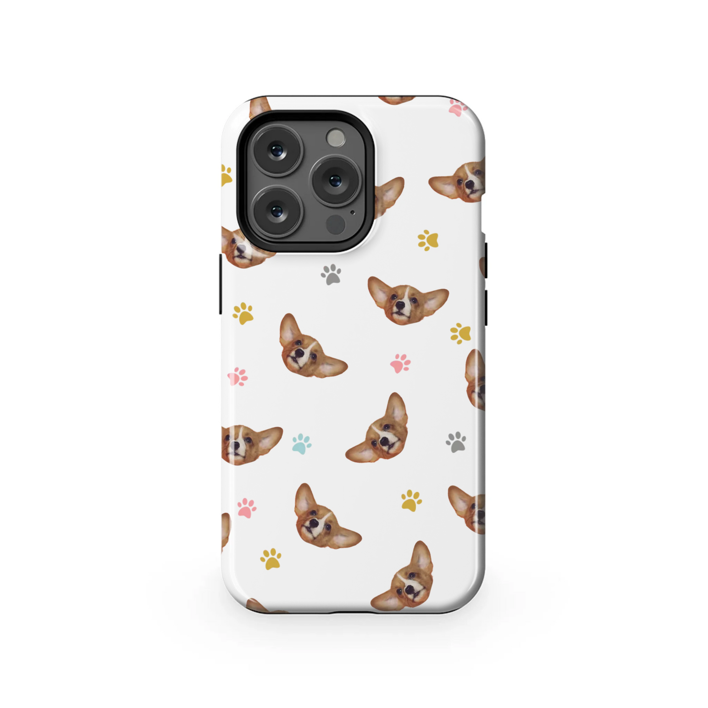 13PT_Mockup