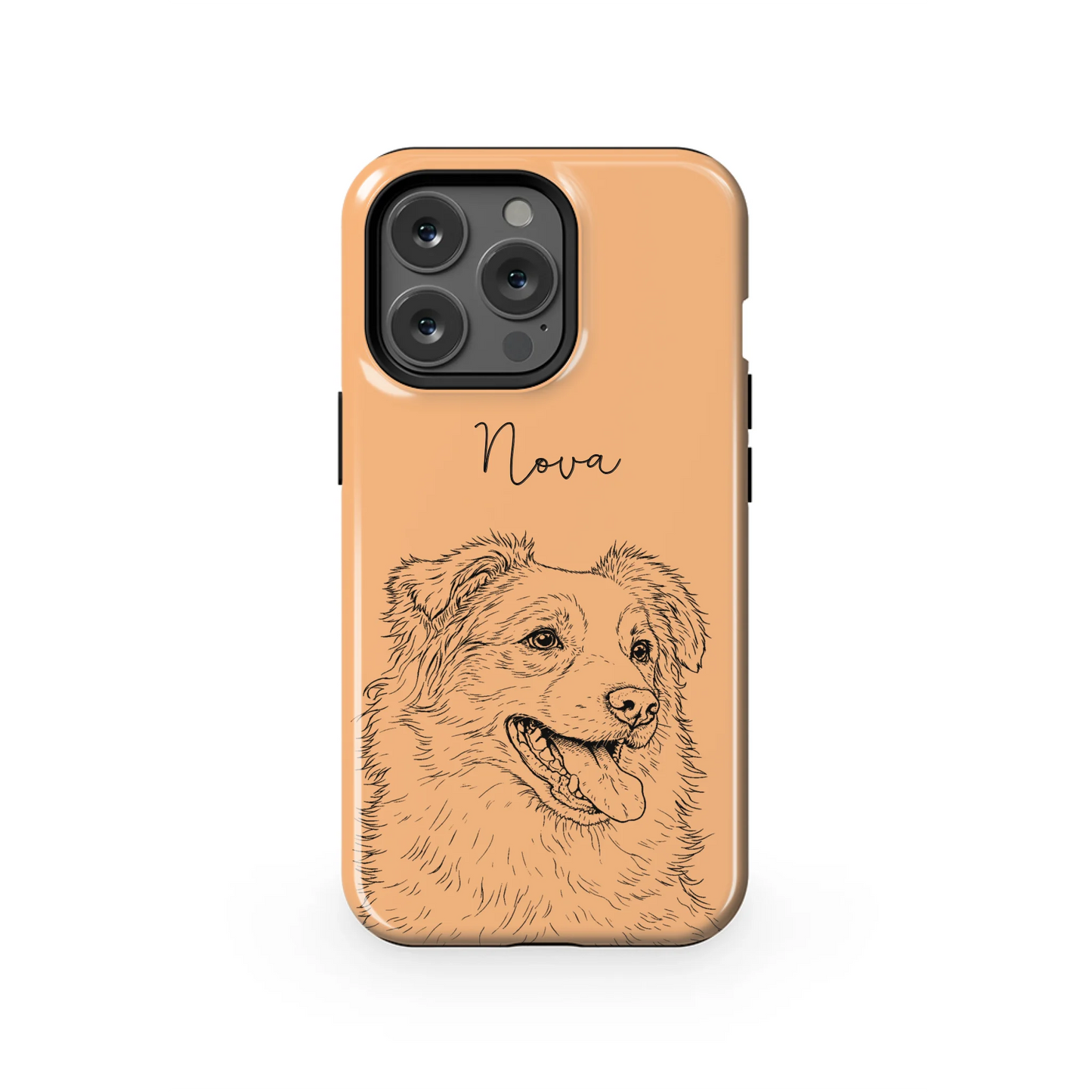 13PT_Mockup