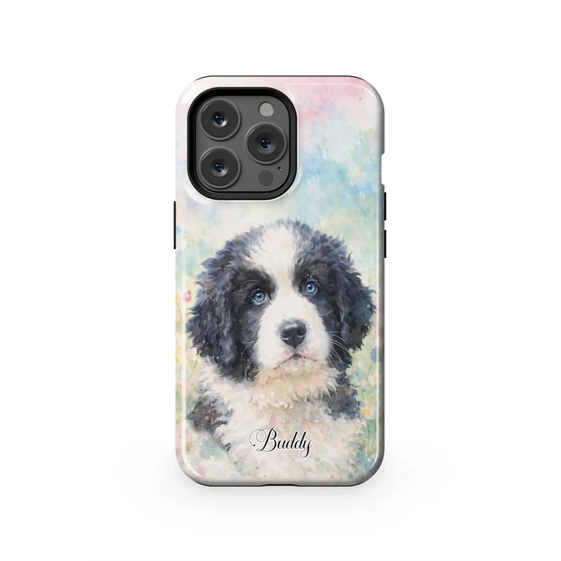 13PT_Mockup