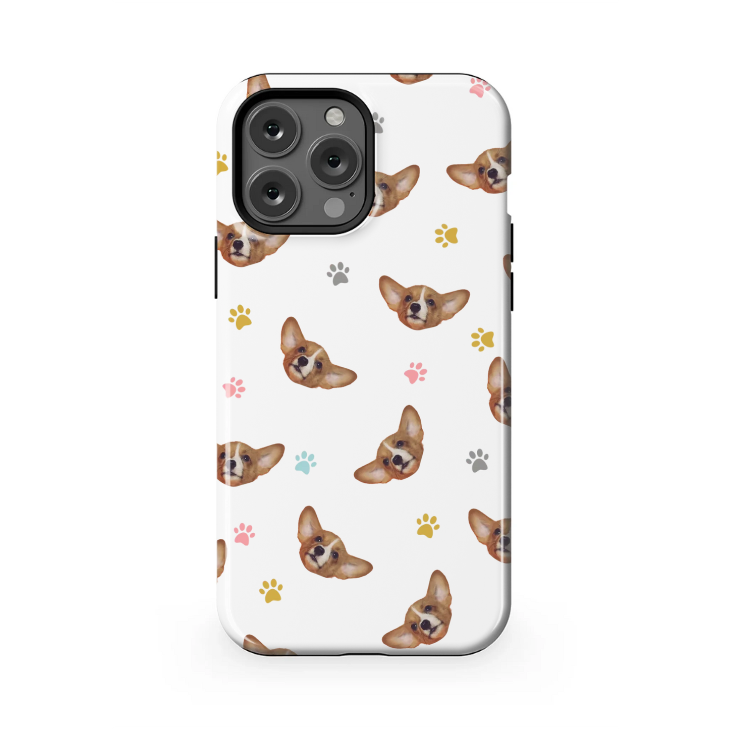13PMT_Mockup