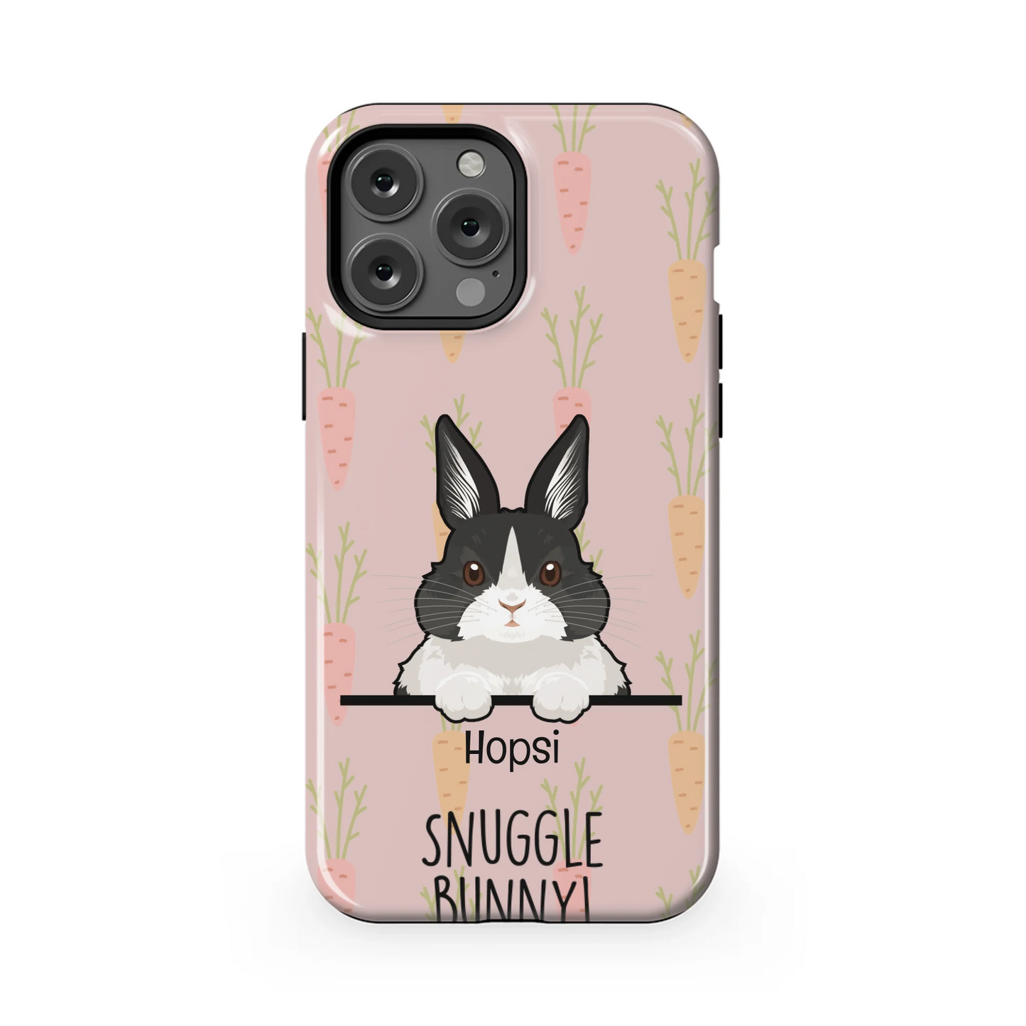 13PMT_Mockup
