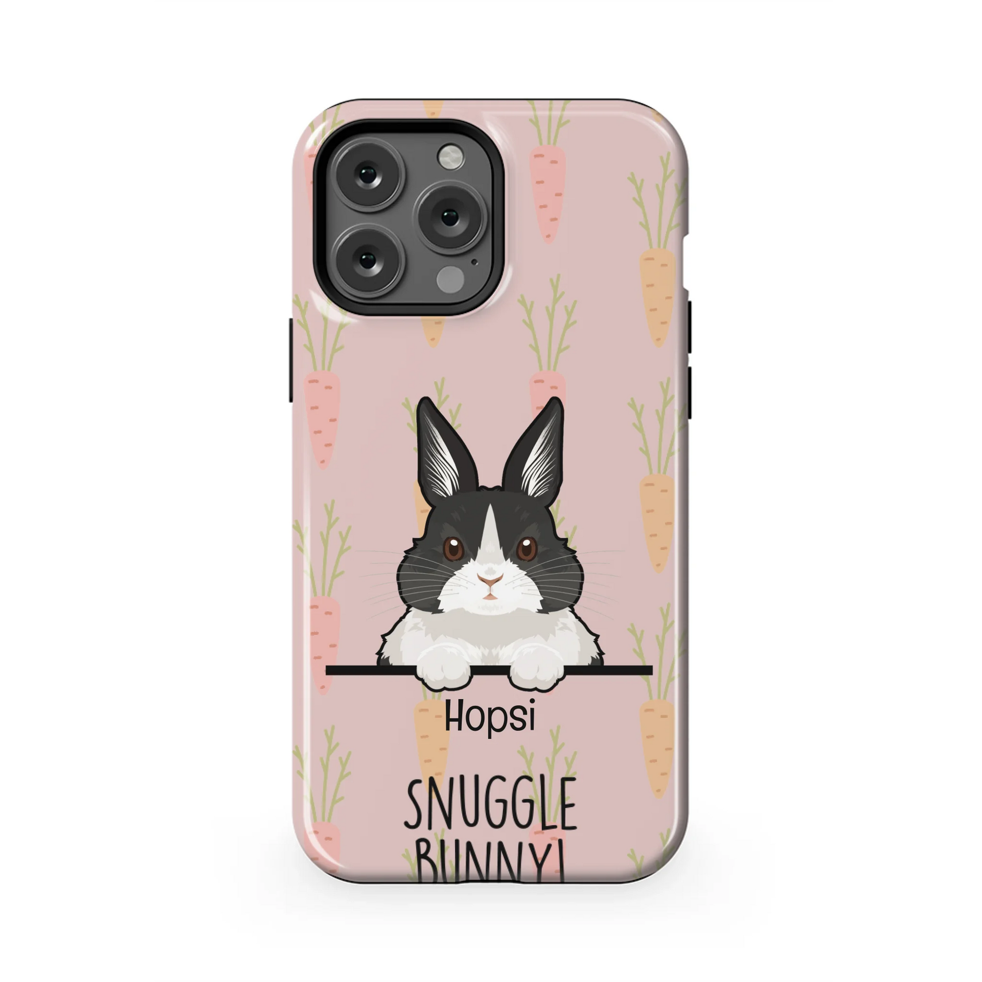 13PMT_Mockup