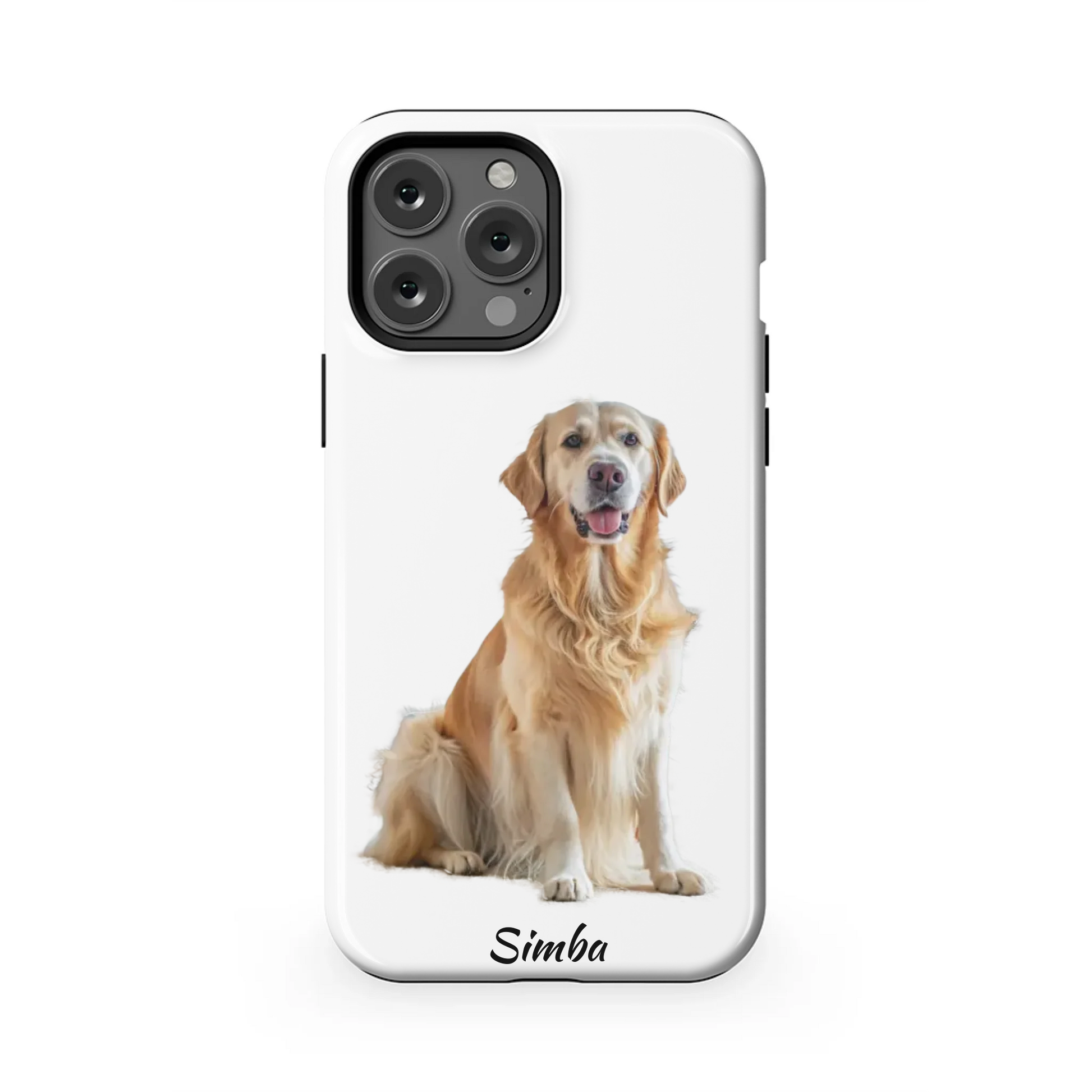 13PMT_Mockup