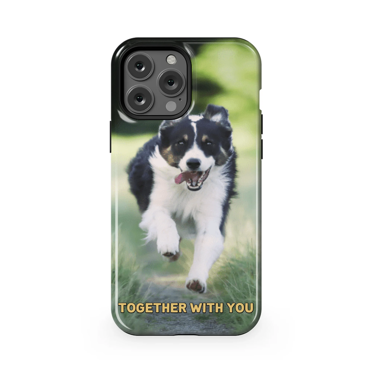 13PMT_Mockup
