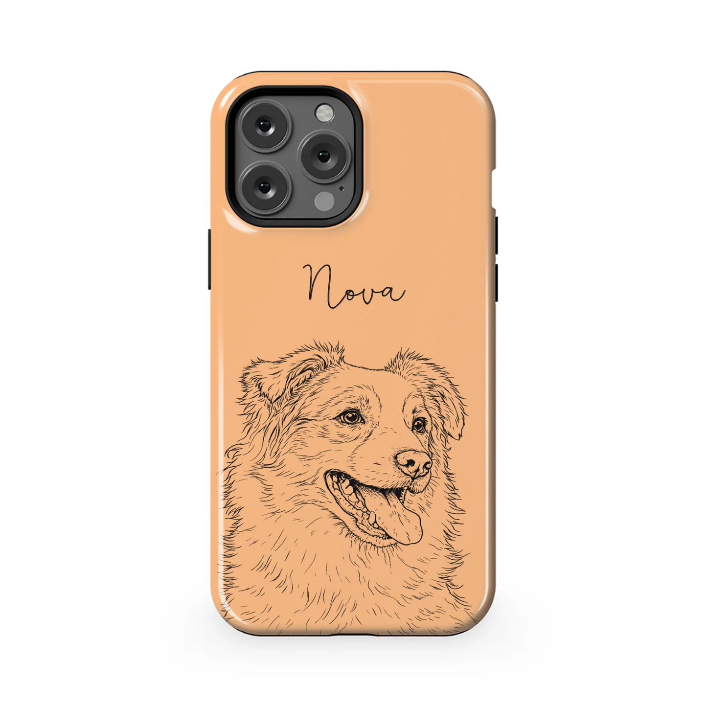 13PMT_Mockup