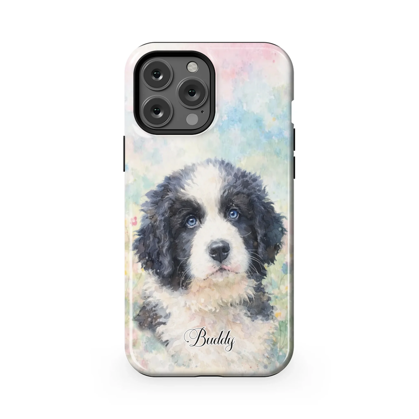 13PMT_Mockup