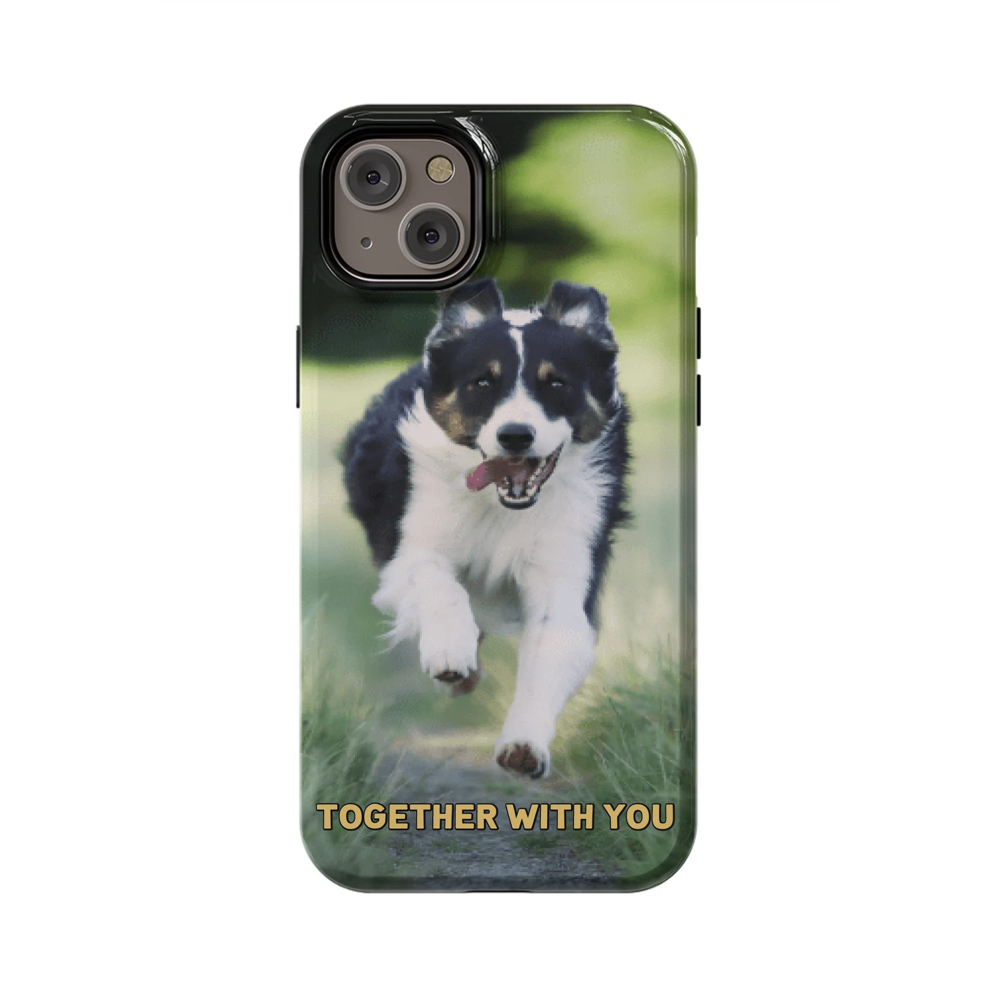 14PLT_Mockup