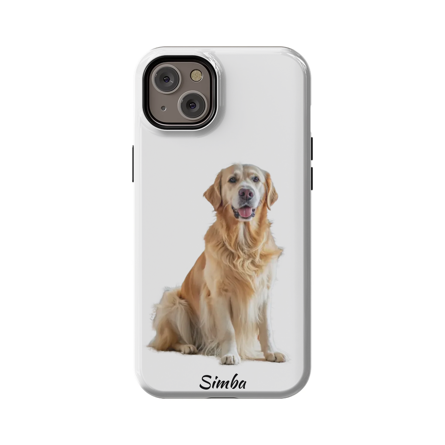 14PLT_Mockup